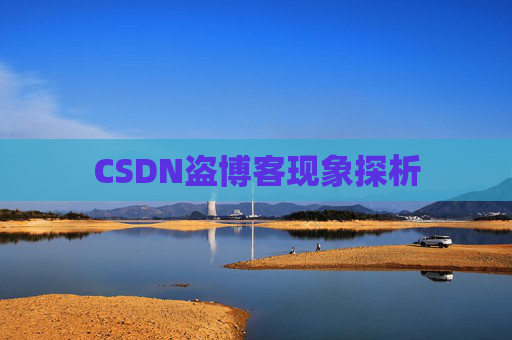 CSDN盗博客现象探析